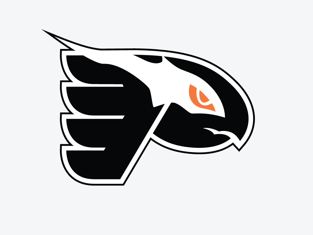 Philadelphia Flying Shadow logo fabric transfer